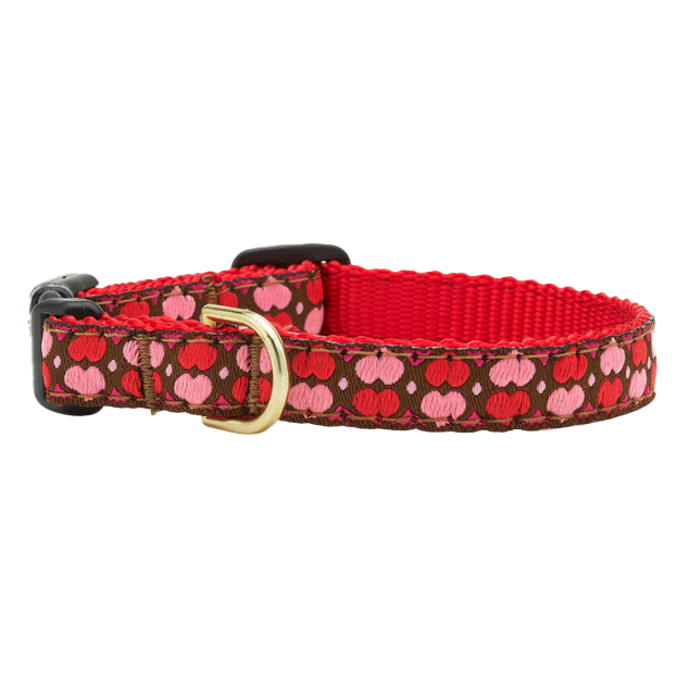Teacup Collar | All Hearts