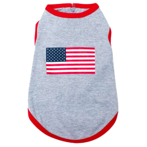 Tee | American Flag
