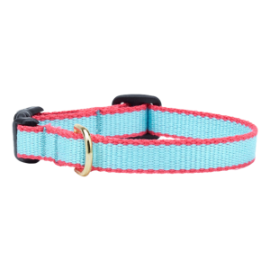Teacup Collar | Aqua & Coral