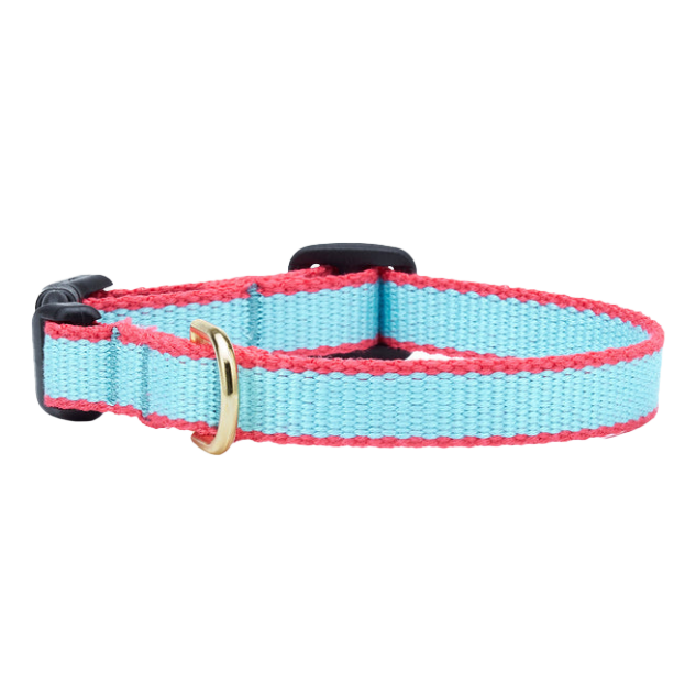 Teacup Collar | Aqua & Coral