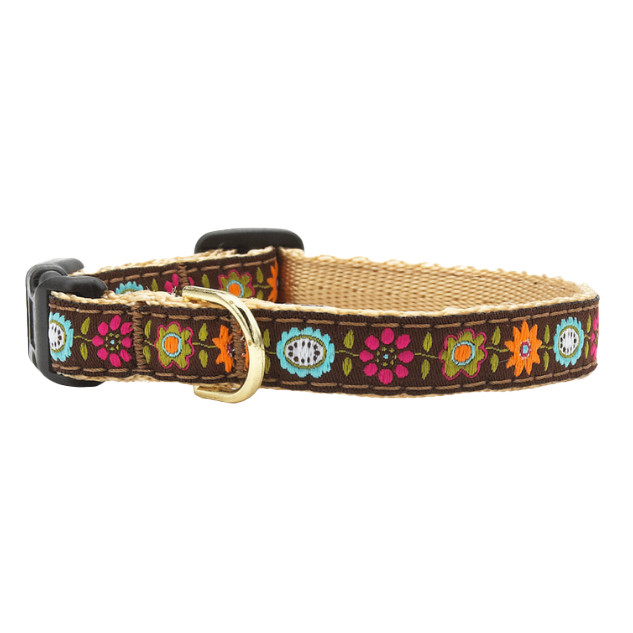 Teacup Collar | Bella Floral
