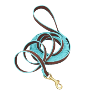 Training Leash | Brown & Aqua