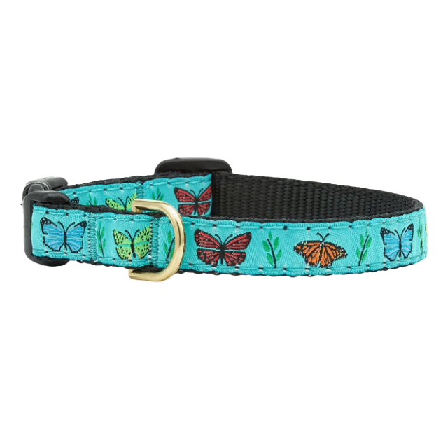 Teacup Collar | Butterfly Effect