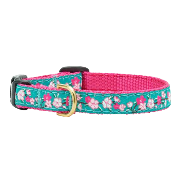 Teacup Collar | Cherry Blossom