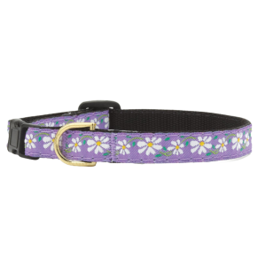 Teacup Collar | Daisy