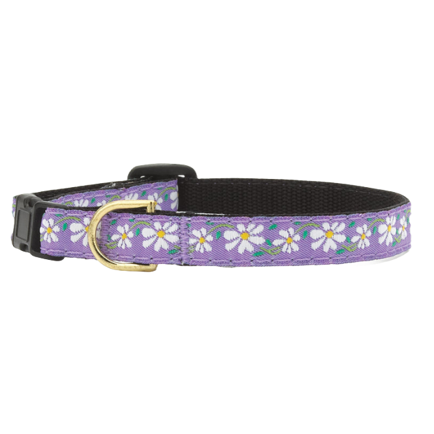 Teacup Collar | Daisy