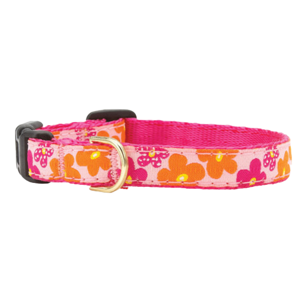Teacup Collar | Flower Power