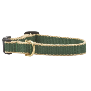 Teacup Collar | Forest & Tan