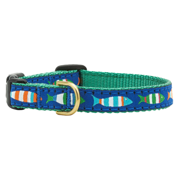 Teacup Collar | Funky Fish
