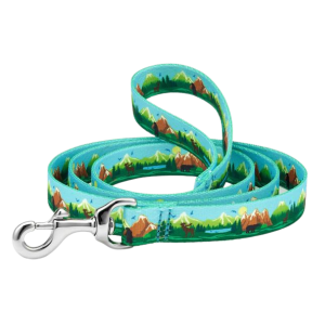 Sport Leash | Get Outdoors