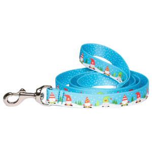 Sport Leash | Gnomes