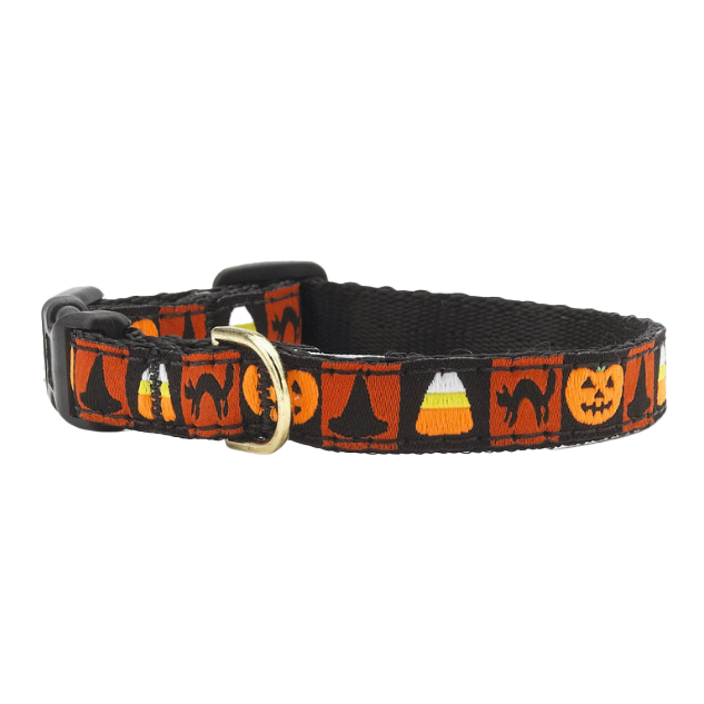 Teacup Collar | Halloween