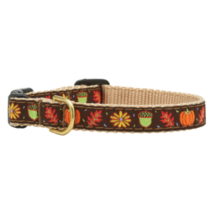 Teacup Collar | Harvest Time