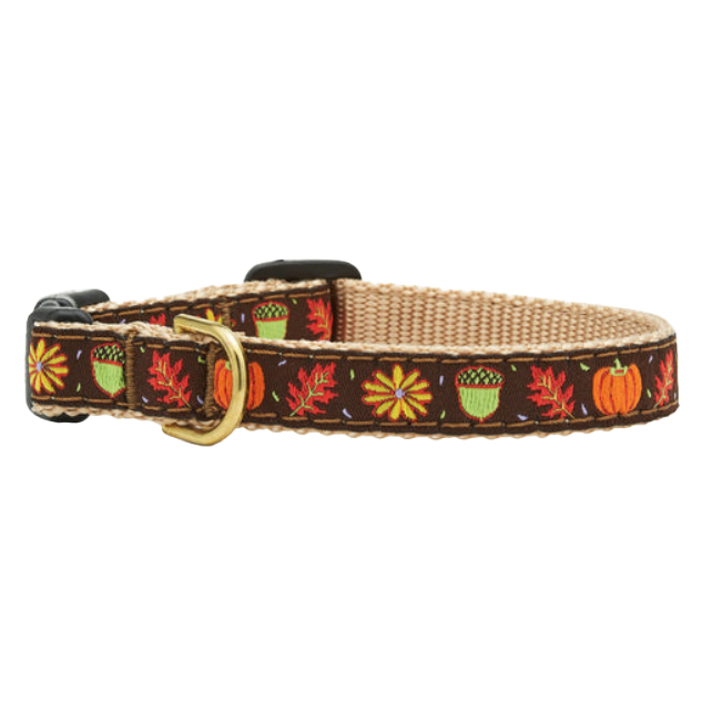Teacup Collar | Harvest Time