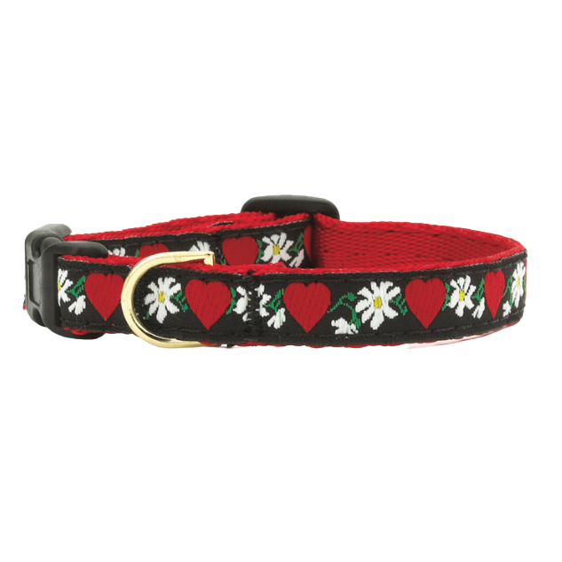 Teacup Collar | Hearts & Flowers