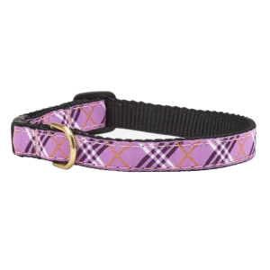 Teacup Collar | Lavender Lattice