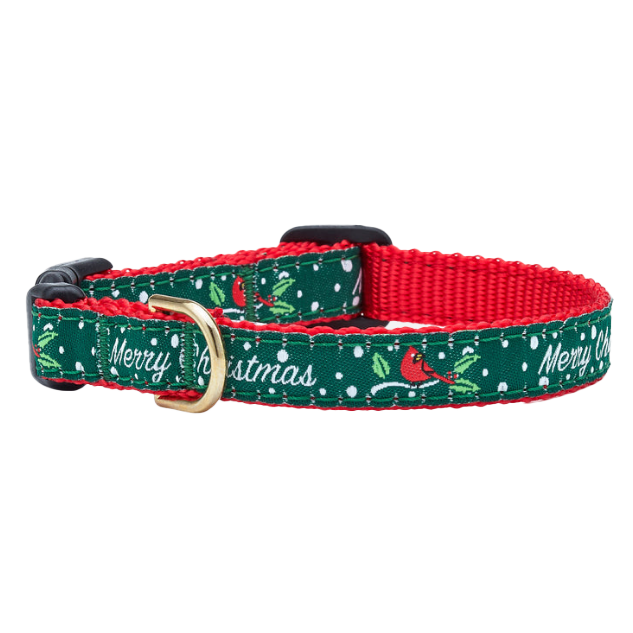 Teacup Collar | Merry Christmas