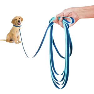 Training Leash | Navy & Aqua