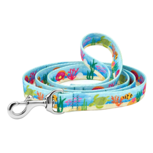 Sport Leash | Oceanic