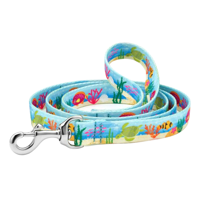 Sport Leash | Oceanic
