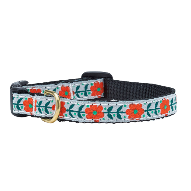 Teacup Collar | Orange You Pretty