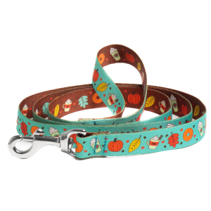 Sport Leash | Pumpkin Spice Mint