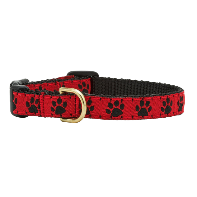 Teacup Collar | Red & Black Paw