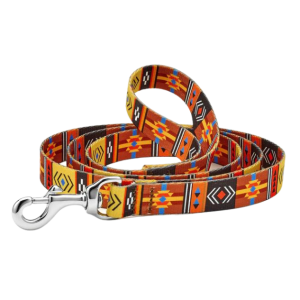 Sport Leash | Southwest