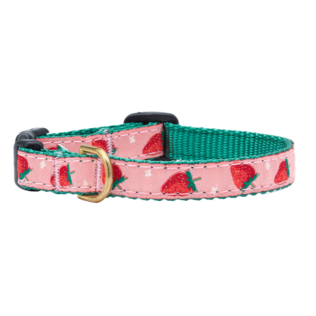 Teacup Collar | Strawberry Fields