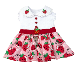 Dress | Strawberry Picnic